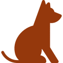 Chien dans le festival
